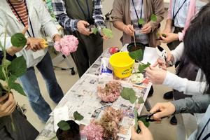 さし芽実習宇の様子