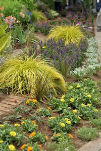 植付け後の花壇の様子