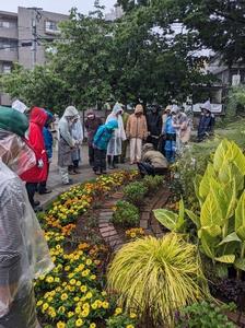 花壇メンテナンスの様子