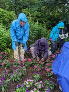 花壇メンテナンスの様子