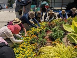 花壇メンテナンスの様子