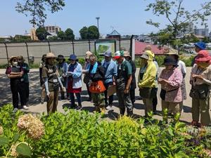 花壇の環境調査の様子