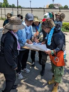 花壇の環境調査の様子