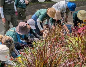 3 花壇メンテナンスの様子