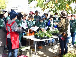 花苗の植付けの様子
