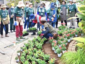 花苗の植付けの様子