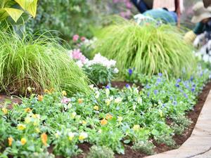 植付け後の花壇の様子