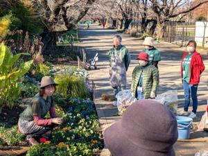 花壇メンテナンスの様子