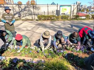 花壇メンテナンスの様子