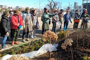 花壇メンテナンスの様子