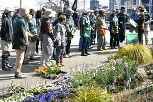花壇メンテナンスの様子