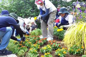 花壇メンテナンスの様子