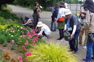 水やり実習の様子