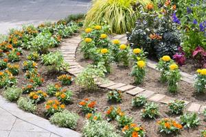 植付け後の花壇