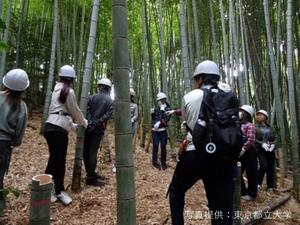Activity scene
