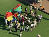 バイバイサマー