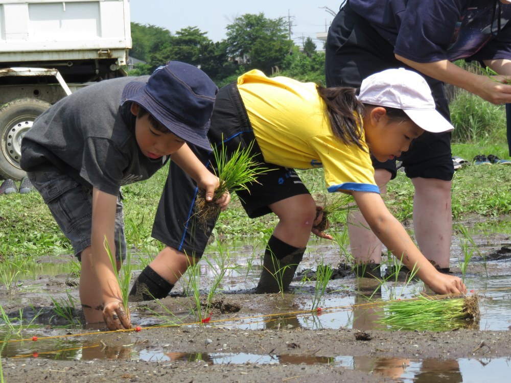令和8田植え(1)