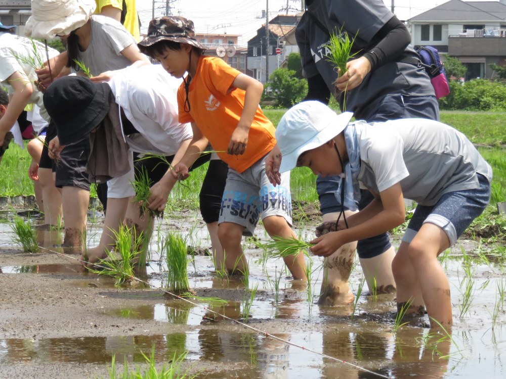 令和8田植え(2)