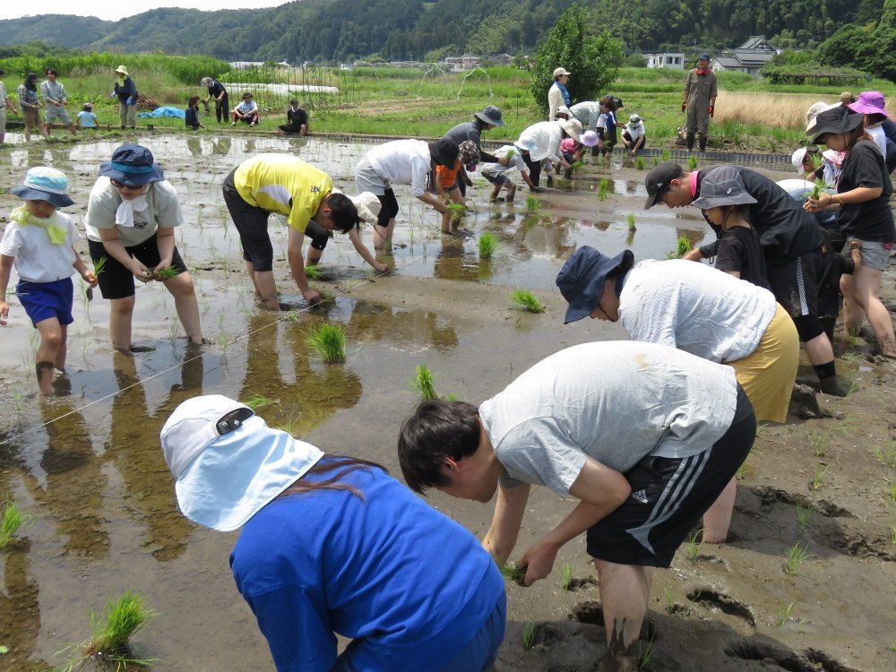令和8田植え(4)