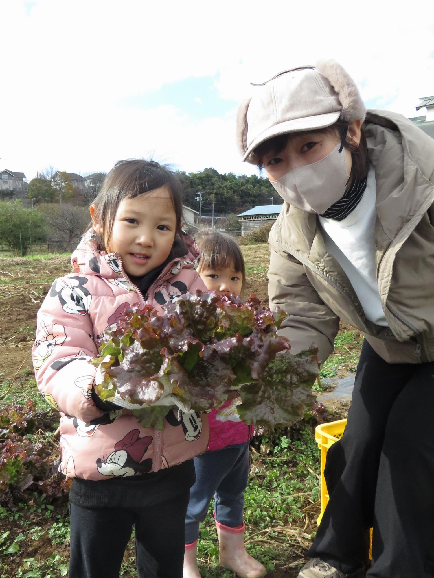 グリンガーラ(2)