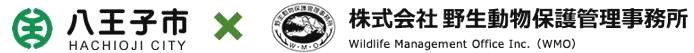 WMO