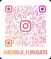 insta