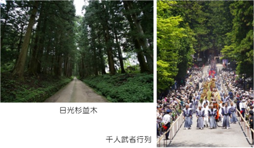 杉並木/千人行列