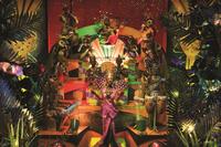 ジャングル・パラダイス