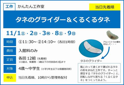 1101_タネのグライダー