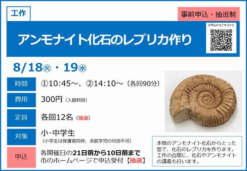 081819_アンモレプリカ