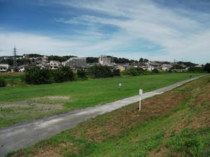 元横山2号河川敷広場 (3)