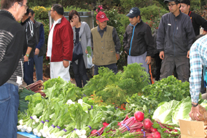 新鮮野菜が並んで