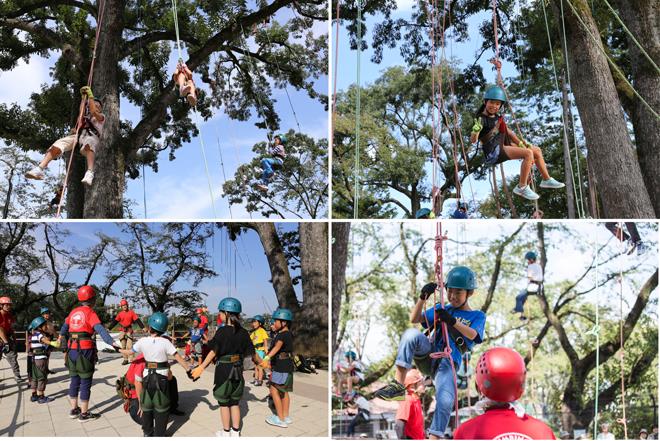 ツリークライミング