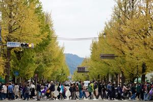 八王子いちょう祭り4