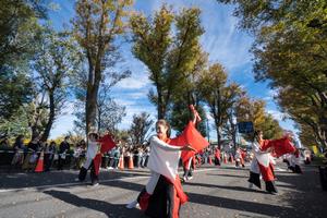 八王子いちょう祭り2