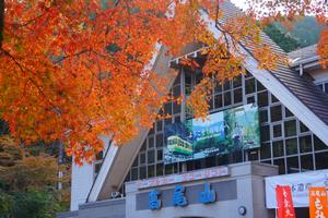 高尾山もみじまつり1