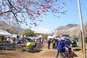 高尾梅郷梅まつり3
