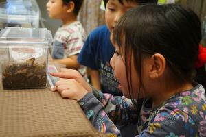 環境フェスティバル4