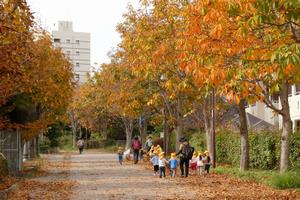 秋の風景（南大沢周辺）1