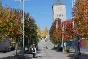 秋の風景（南大沢周辺）2