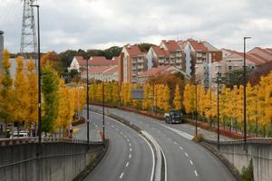 秋の風景（南大沢周辺）4