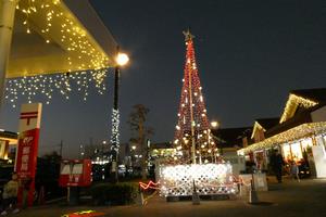イルミネーションフェスタ1