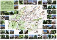 八王子市西南部地区巨木名木散策マップ